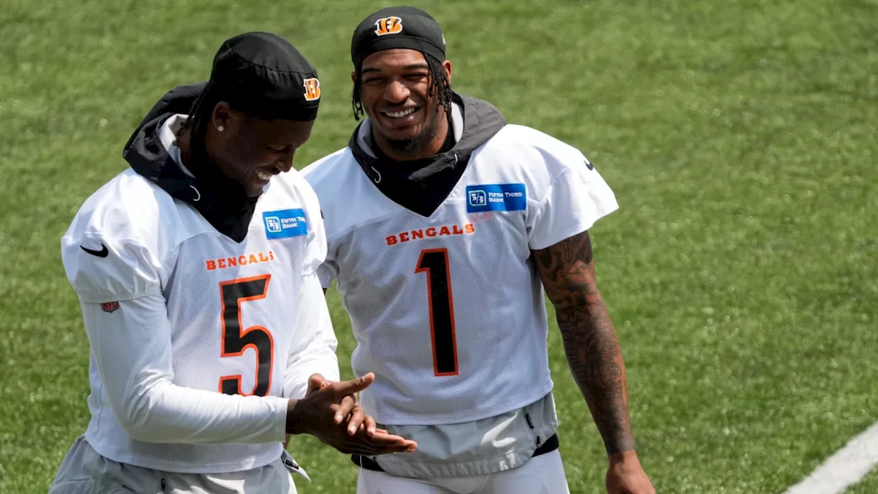 Tee Higgins Shares Latest Cincinnati Bengals Post Featuring Him and Ja'Marr Chase