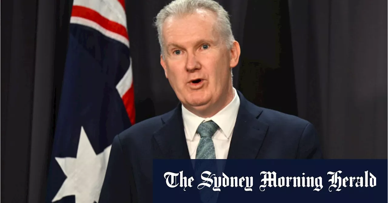 Burke asks for an administrator to run CFMEU, asks AFP to investigate union