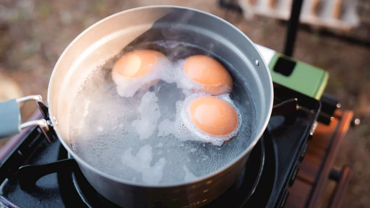 Hürde im Alltag: Warum das perfekte Frühstücksei bei Sturm misslingt