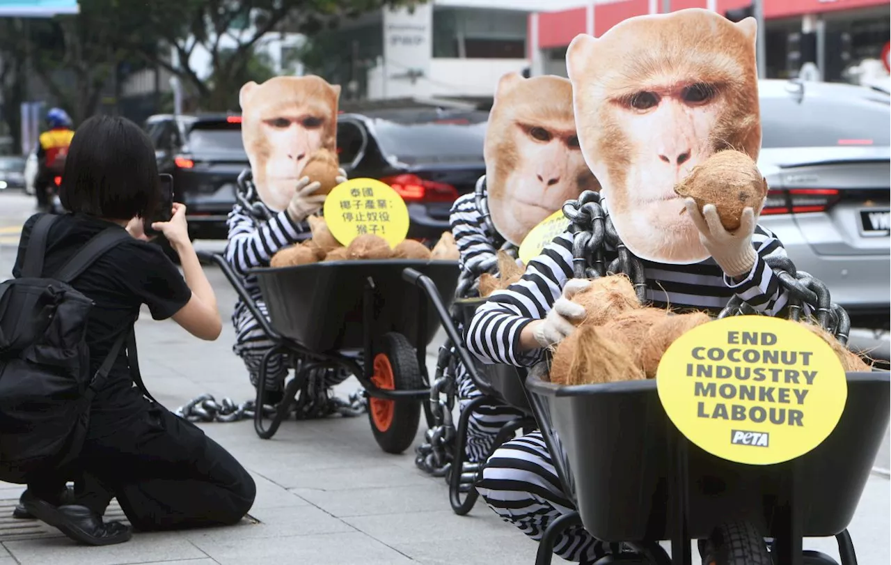 Activists in costumes protest monkey labour in Thailand