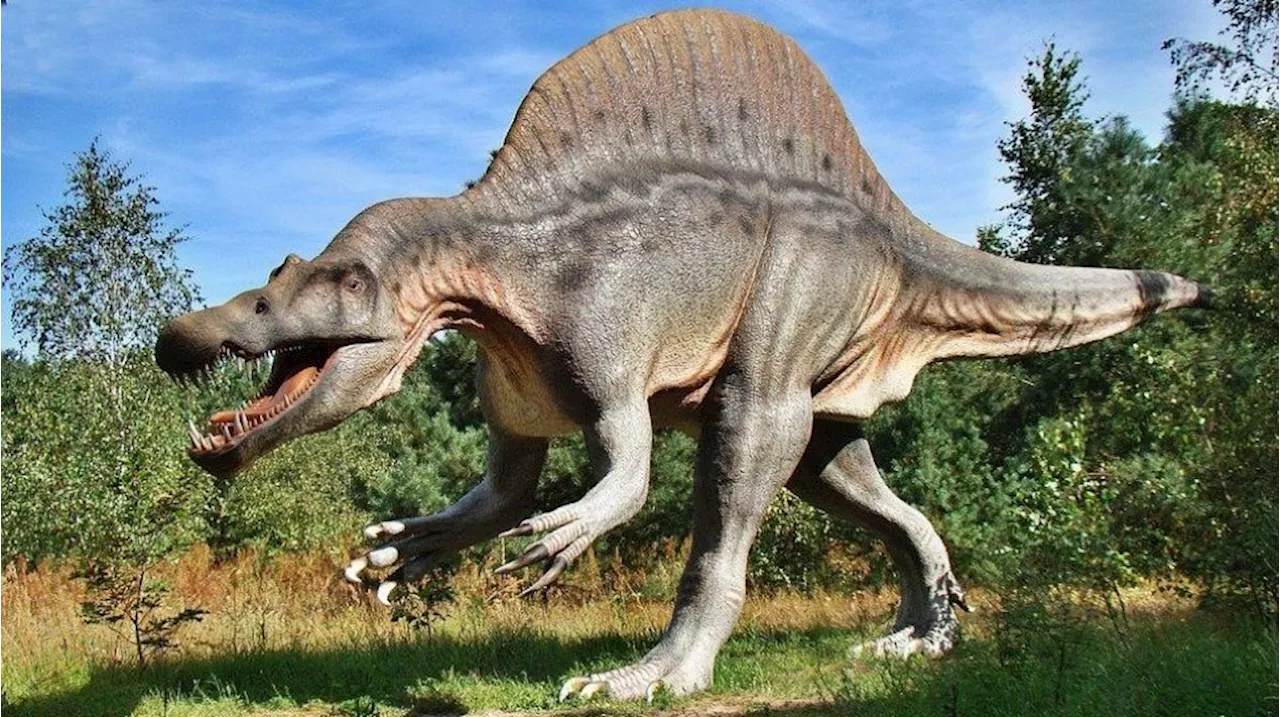 Dinosaurus Pemangsa Baru Ditemukan di Inggris, Fosil Terlengkap yang Pernah Ada!