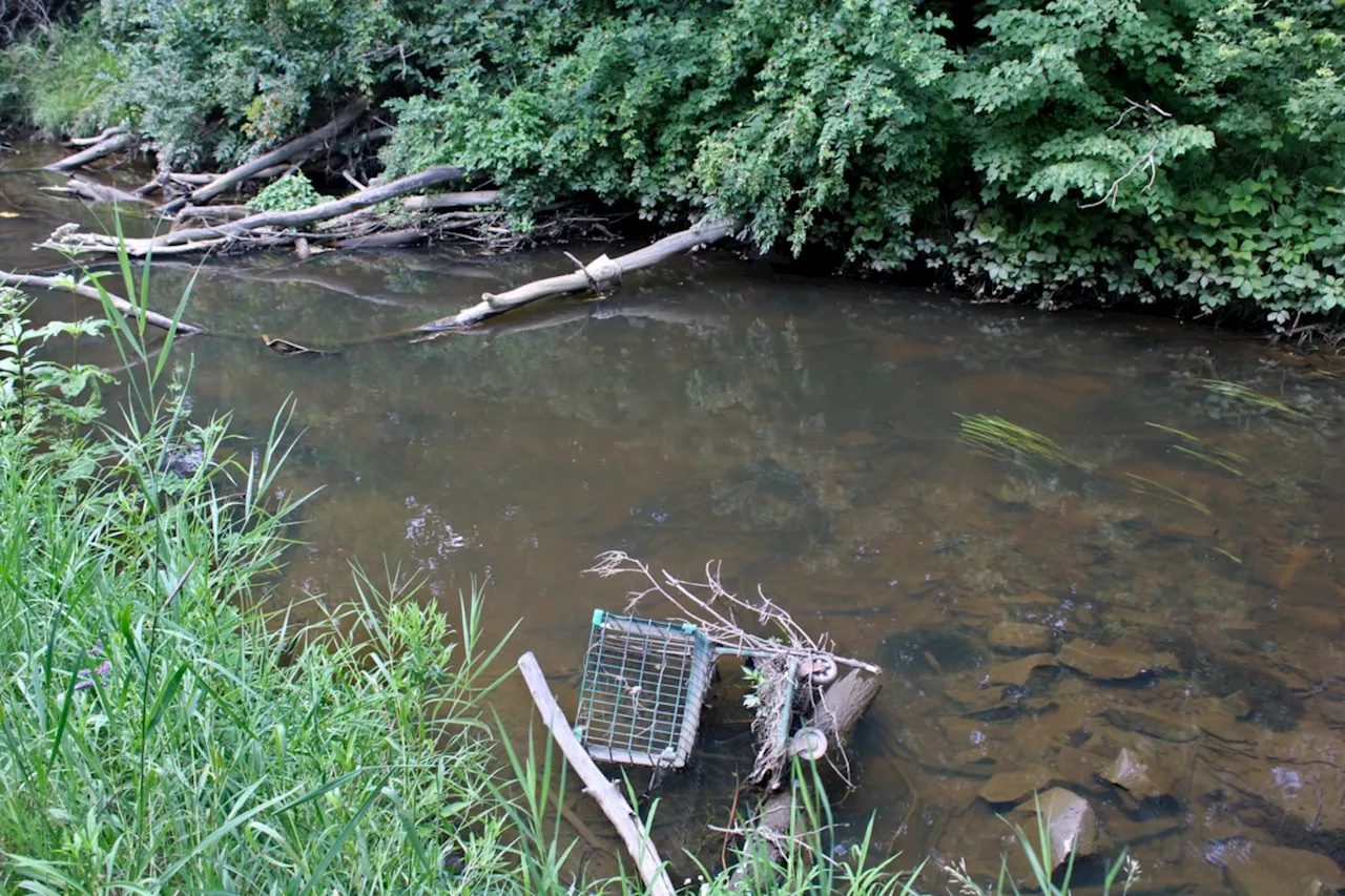 Junction Creek reconstruction to mitigate Flour Mill flood risks