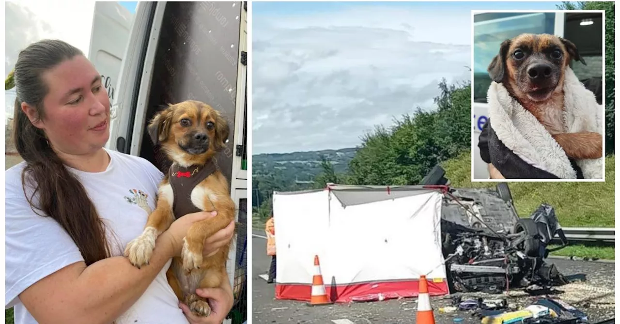 Sabine, 35 ans, perd la vie dans un dramatique accident sur l’autoroute E25 à Remouchamps : elle était