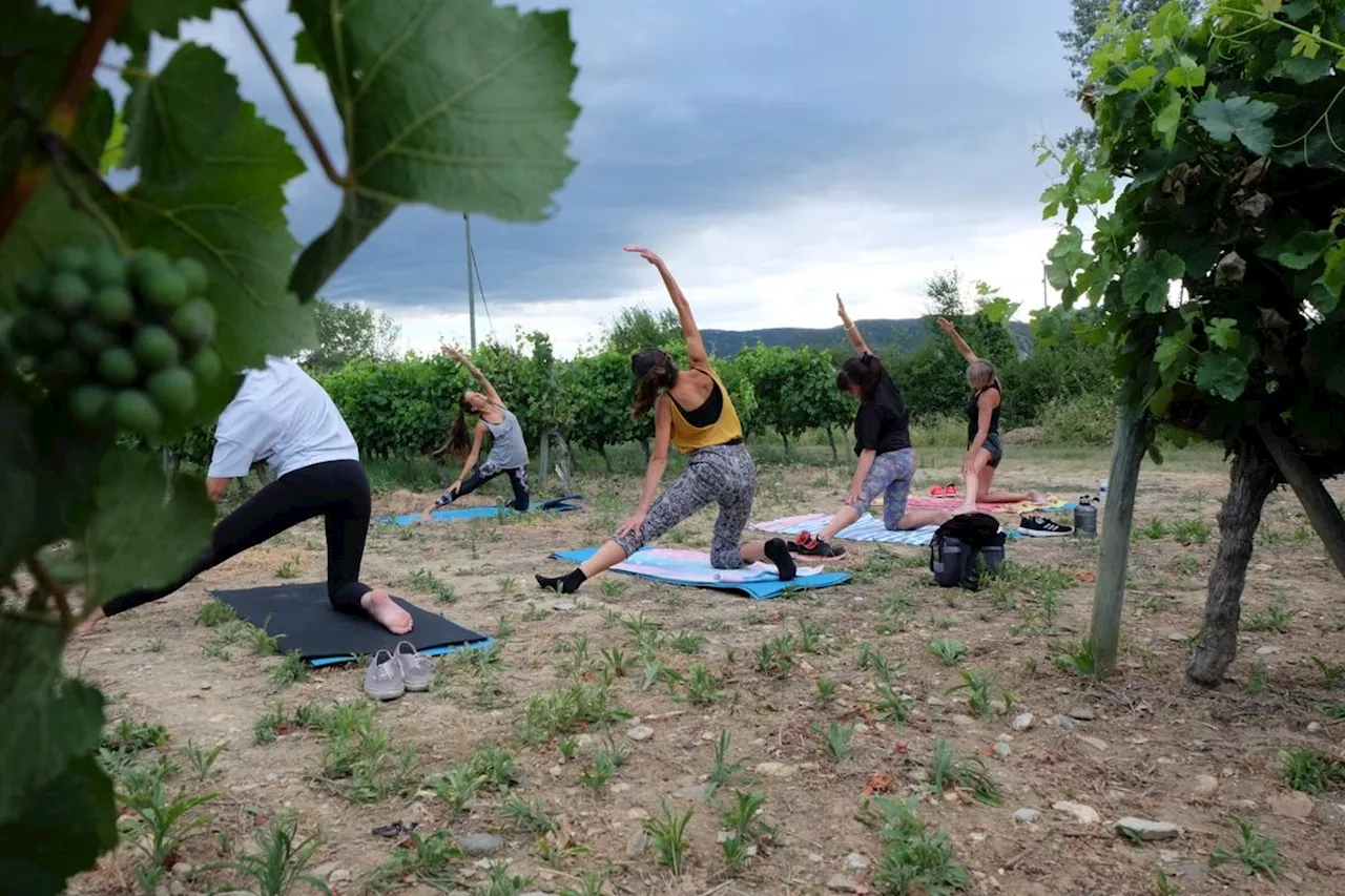 Buzet-sur-Baïse : Les animations estivales des Vignerons de Buzet