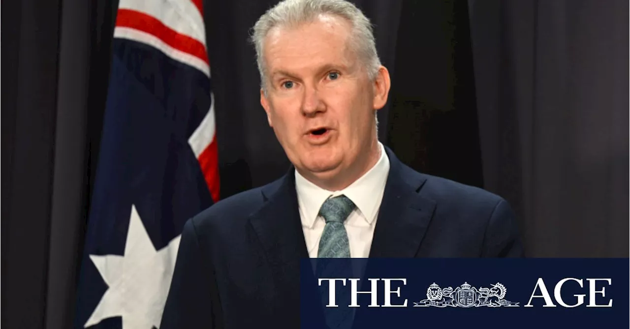 Burke asks for an administrator to run CFMEU, asks AFP to investigate union