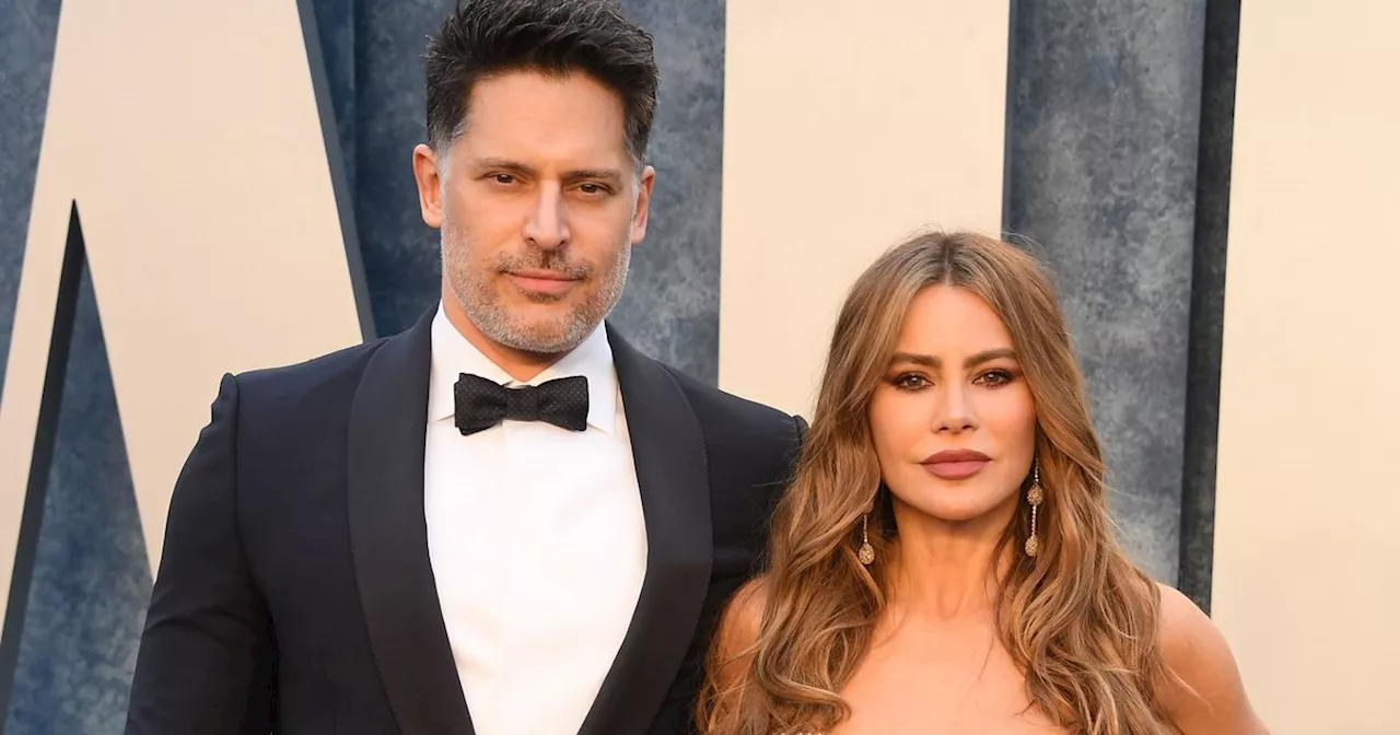 Why Did Sofia Vergara and Joe Manganiello Get Divorced?