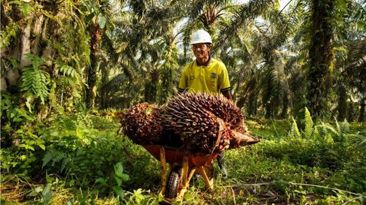 Anggota DPR Ingatkan Pemerintah Soal Harga Komoditas Unggulan Anjlok Pengaruhi Penerimaan Negara