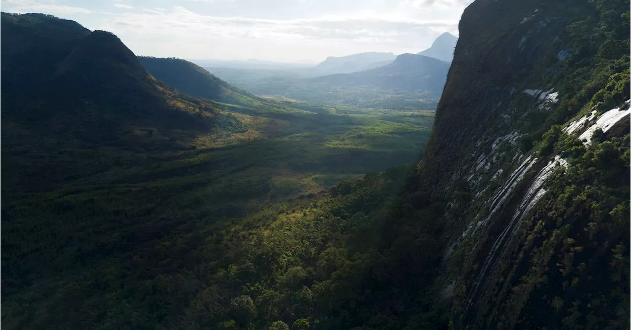 How Google Earth led a team of scientists to discover a rainforest on Mount Lico