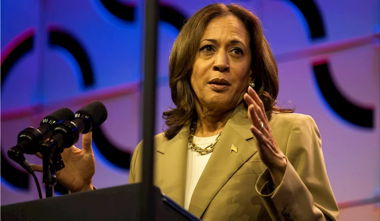 Kamala Harris urges Democrats not to 'throw up our hands' on the election