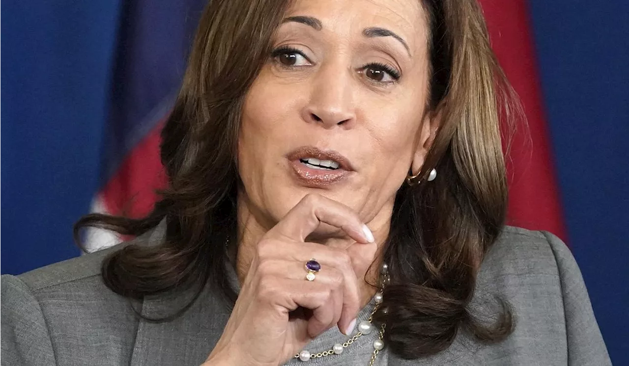 VP Kamala Harris slams Sen. J.D. Vance as 'rubber stamp' for Trump