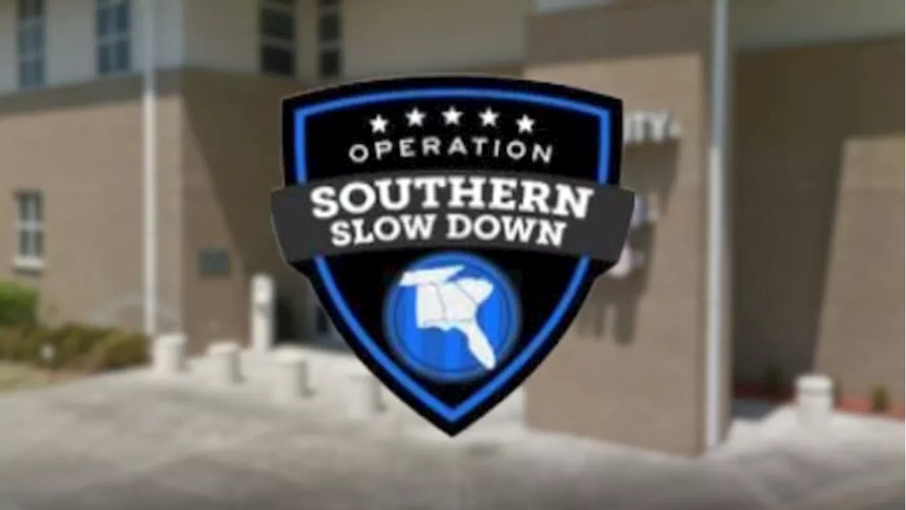 Slow down: Law enforcement across Florida and Georgia are cracking down on speeders