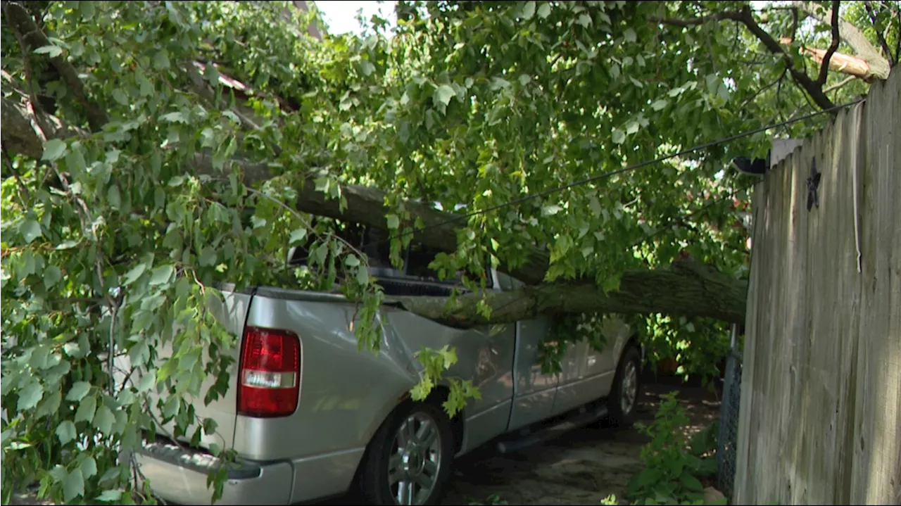 Cleanup continues in Lafayette after Monday night's storms