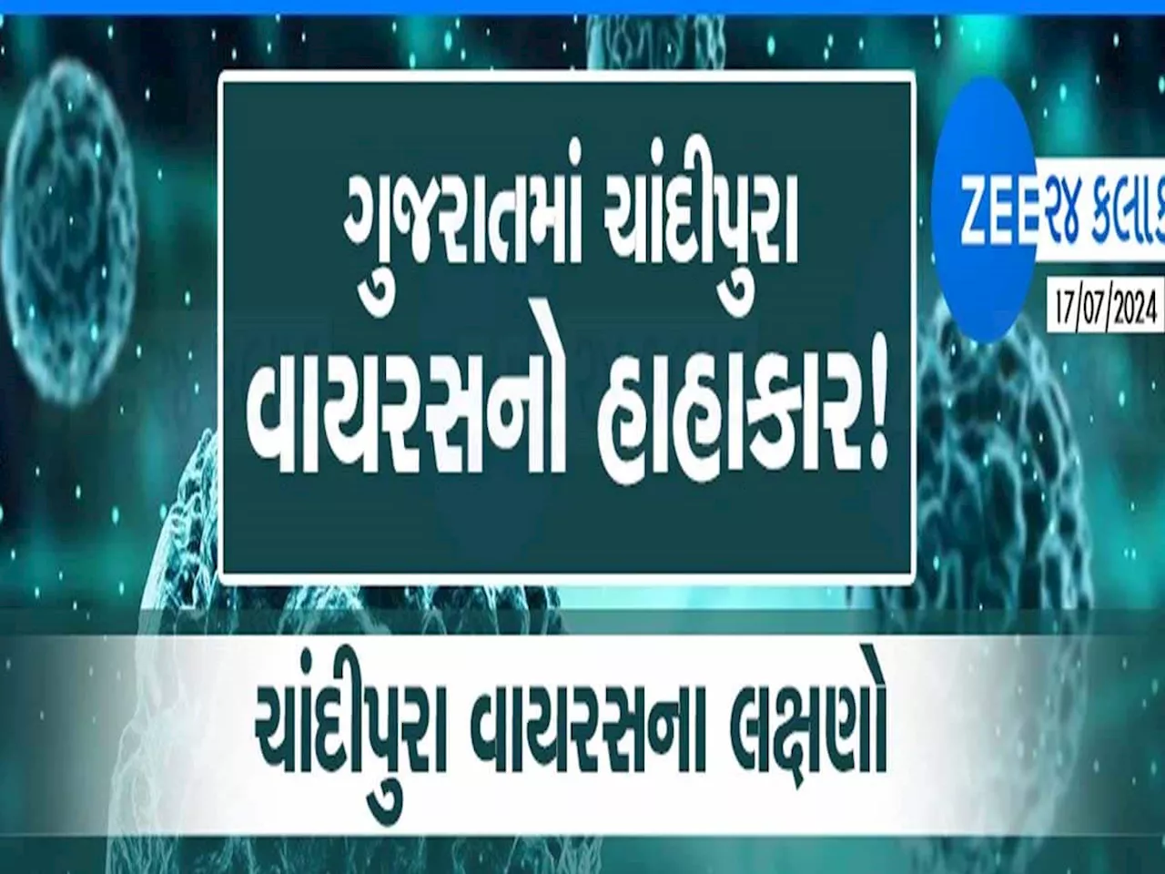 કોરોના કરતાં ખતરનાક છે ચાંદીપુરા વાયરસ! ગુજરાત સરકારે જાહેર કર્યા આંકડા, જાણો વિગતે