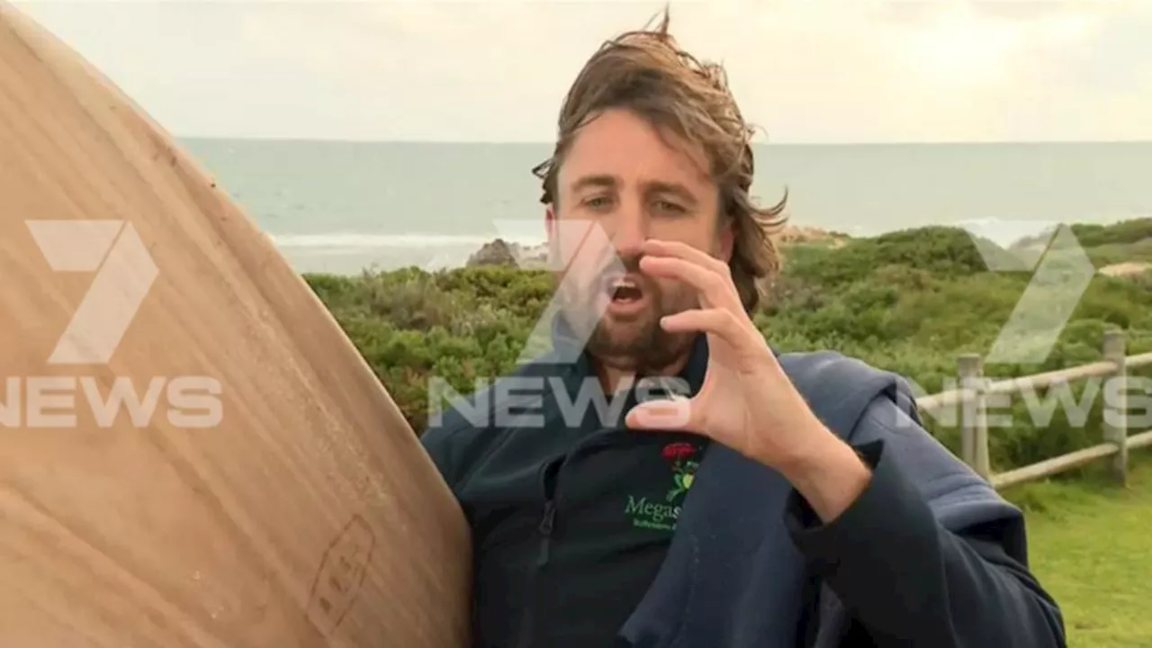 Surfer describes the moment he was bitten by shark at Trigg Beach in Perth