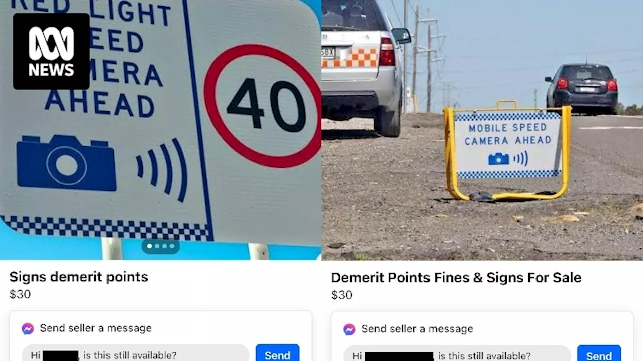 NSW government establishes taskforce to investigate drivers manipulating demerit point system