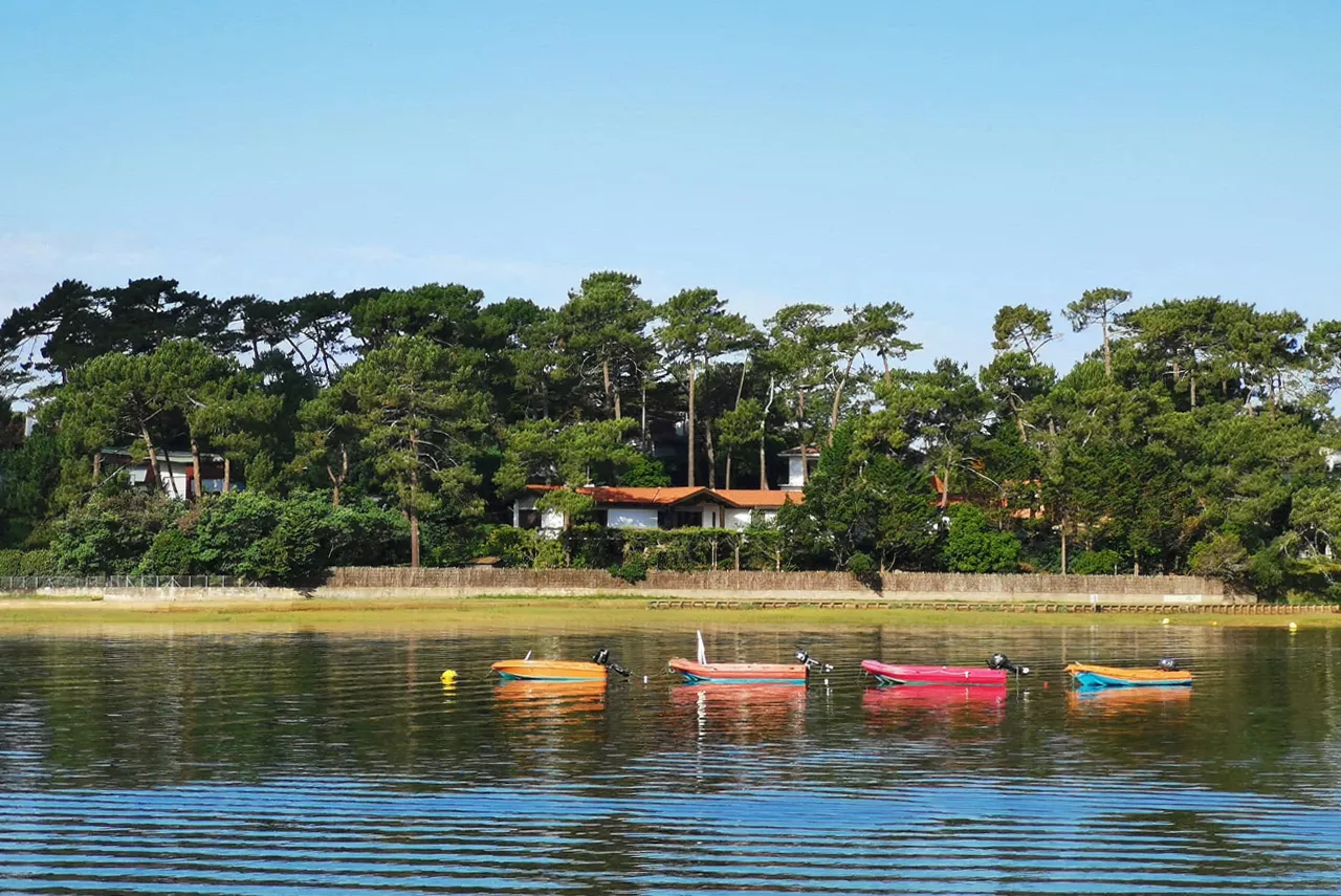 Landes : La vente des huîtres du lac d'Hossegor interdite après la détection de toxines lipophiles