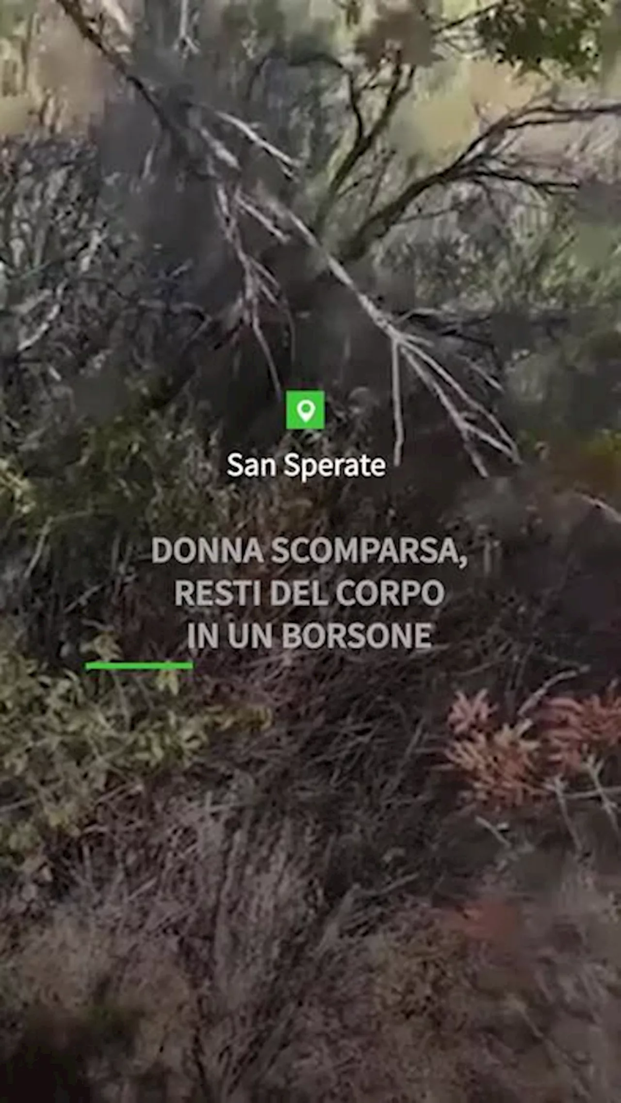 Donna scomparsa, resti del corpo in un borsone