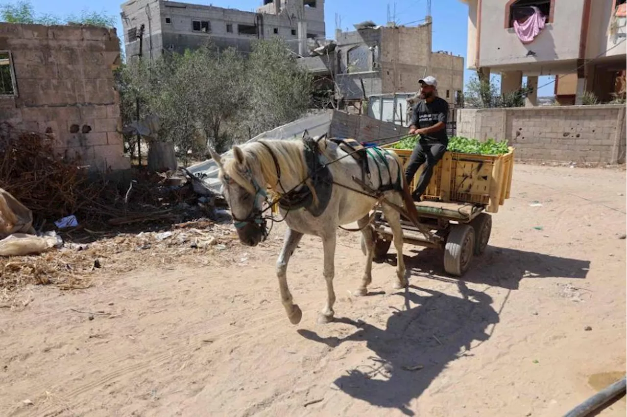 الكنيست الإسرائيلي يتبنى قراراً يرفض قيام دولة فلسطينية