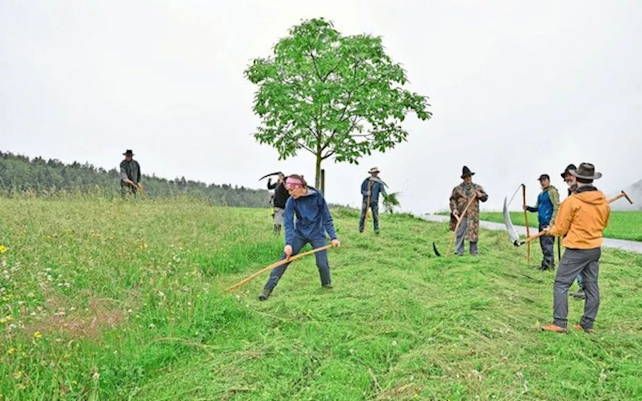 Die Sense muss man schwingen lassen