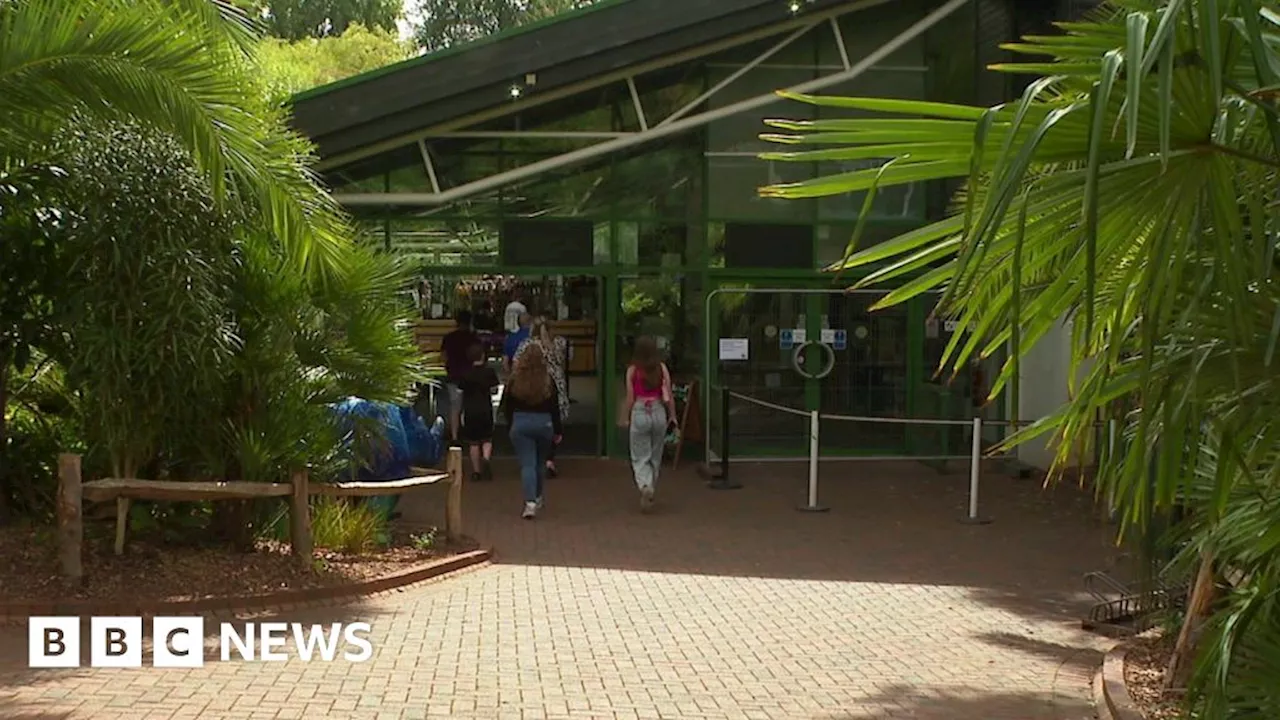 Job losses announced at Paignton Zoo and Newquay Zoo