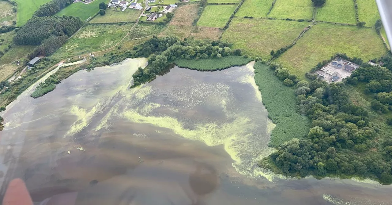 Watch: We took to the skies to see how toxic algae has spread across Lough Neagh