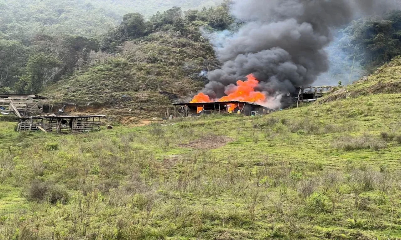 Destruyen laboratorio de coca en Antioquia: producía 600 kilos mensuales