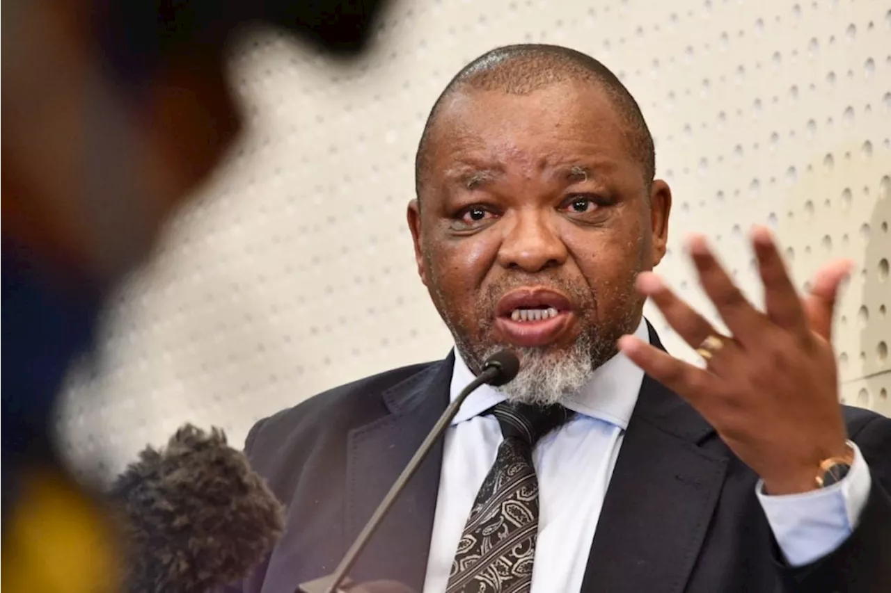 Mantashe eyes private investors and government working to dump greylisting