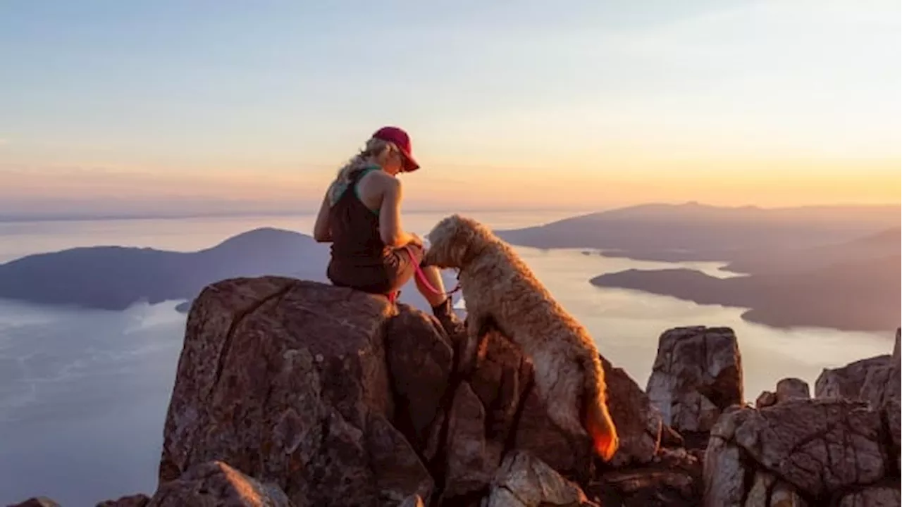 Your guide to exploring a national park with your pooch