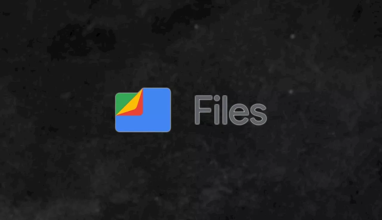 Google Files prepara una gran mejora que le hará casi imprescindible, ¿de qué se trata?