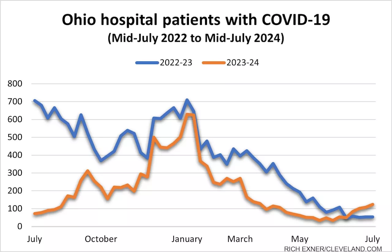 New variants push summer wave of COVID-19 cases; updated vaccine coming this fall