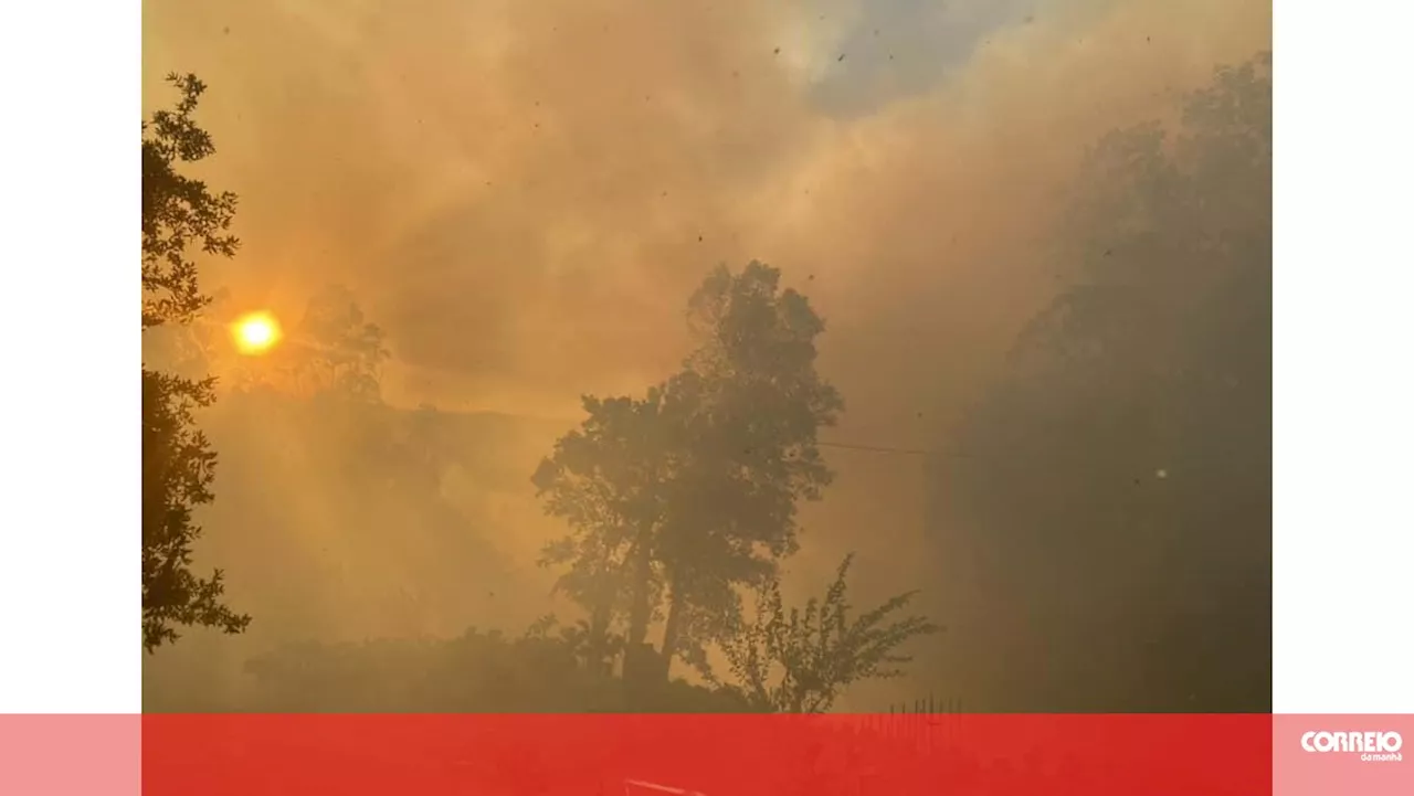 Bruxelas apoia Portugal na compra de 2 aviões Canadair para evitar fogos como em 2017