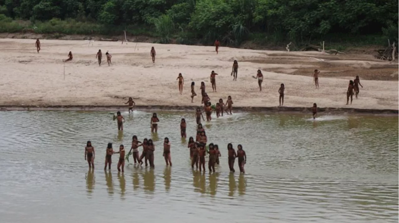 Vidéo : les images incroyables d'une tribu isolée du monde brandissant des lances dans la forêt tropicale péruvienne