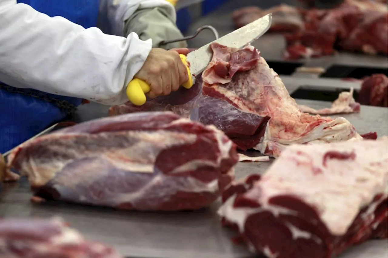 Exportação de carne bovina desacelera em junho e receita recua 11% em um ano, diz Abrafrigo