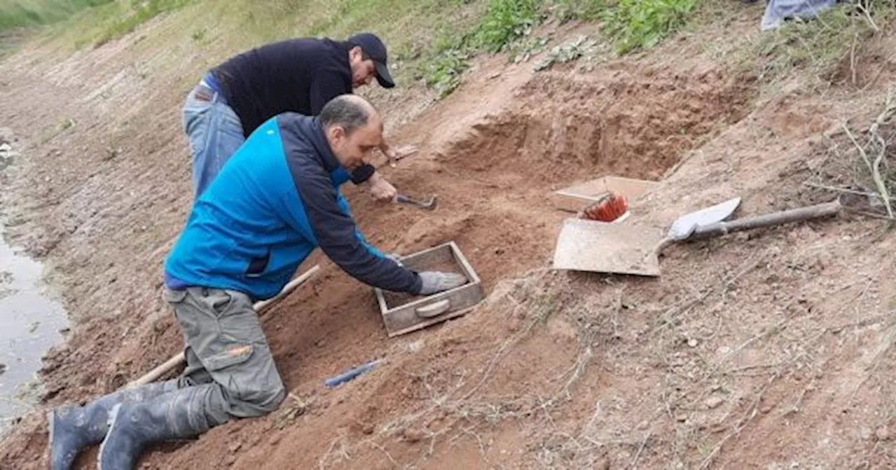 DESCUBRIMIENTO SIN PRECEDENTES: investigadores HALLARON EN ARGENTINA evidencia de presencia humana de hace 20