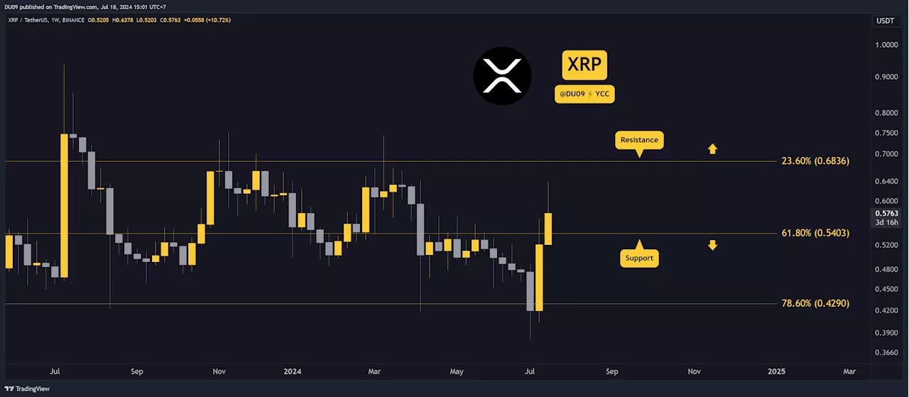 3 Factors to Consider for Ripple: Will the XRP Bull Run Continue?