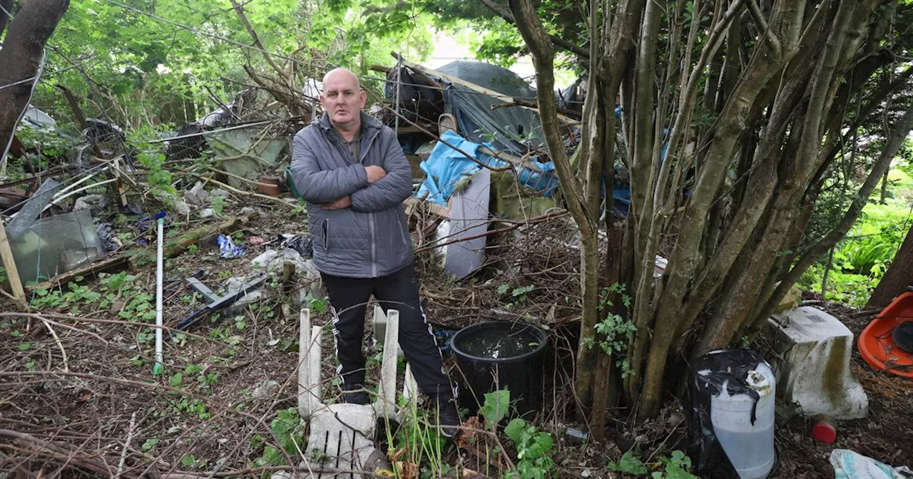 Rat infestation horror as rodents kill Scots man's show pigeons and pet rabbit