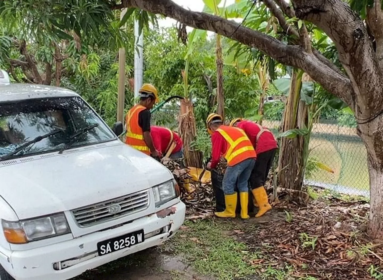 Cut branches and silt left in common areas