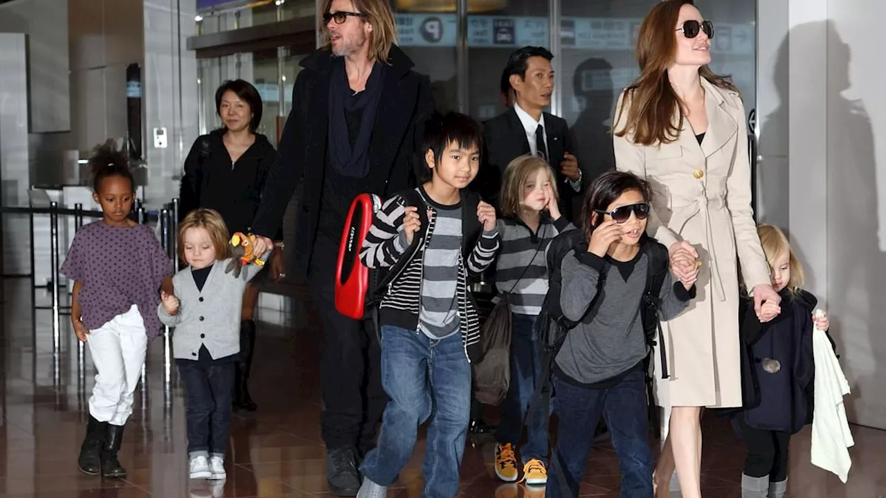 Brad Pitt and Angelina Jolie 'had disagreements over how to raise their six children' during their...