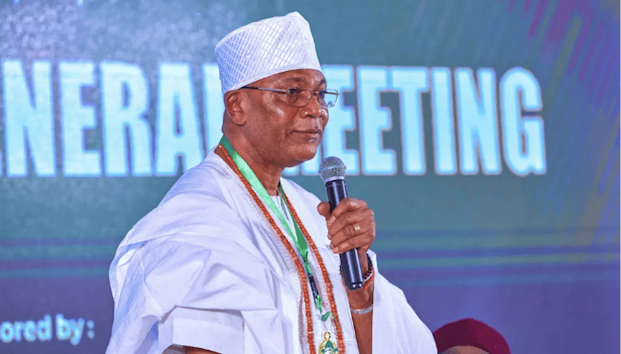 Tinubu policies make manufacturing unattractive in Nigeria – MAN President, Meshioye