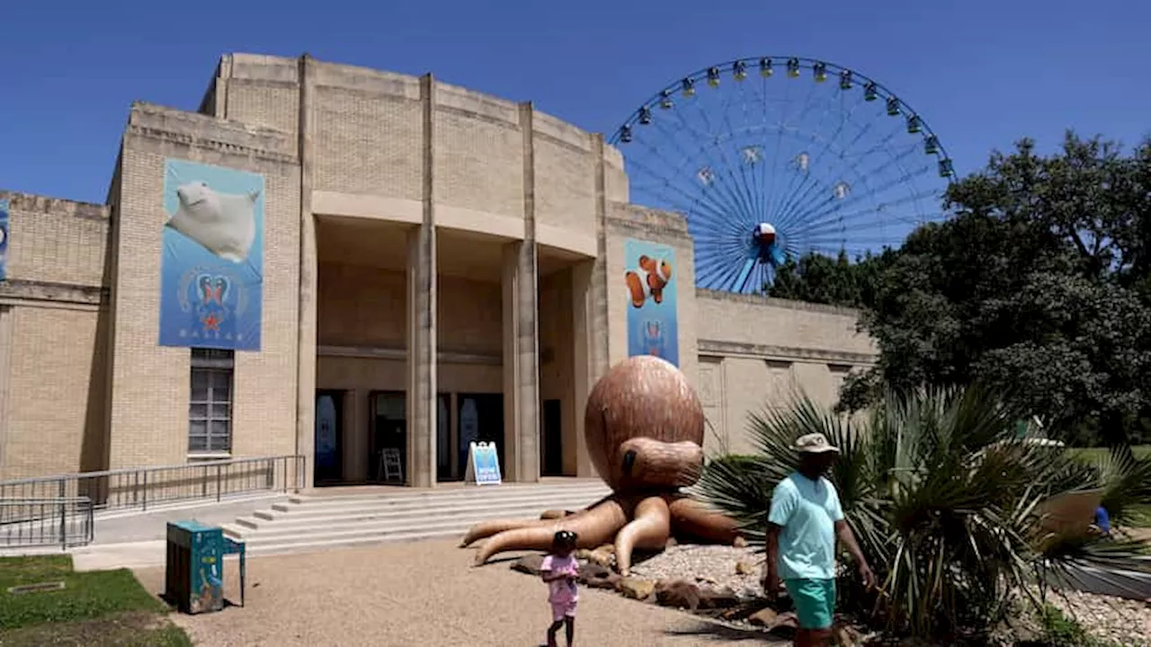 Fair Park First pauses fundraising until audit findings clarify park’s finances