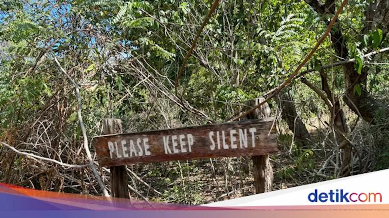 Polemik Penutupan TN Komodo: Warga Menolak-Pariwisata Labuan Bajo Bisa Lumpuh