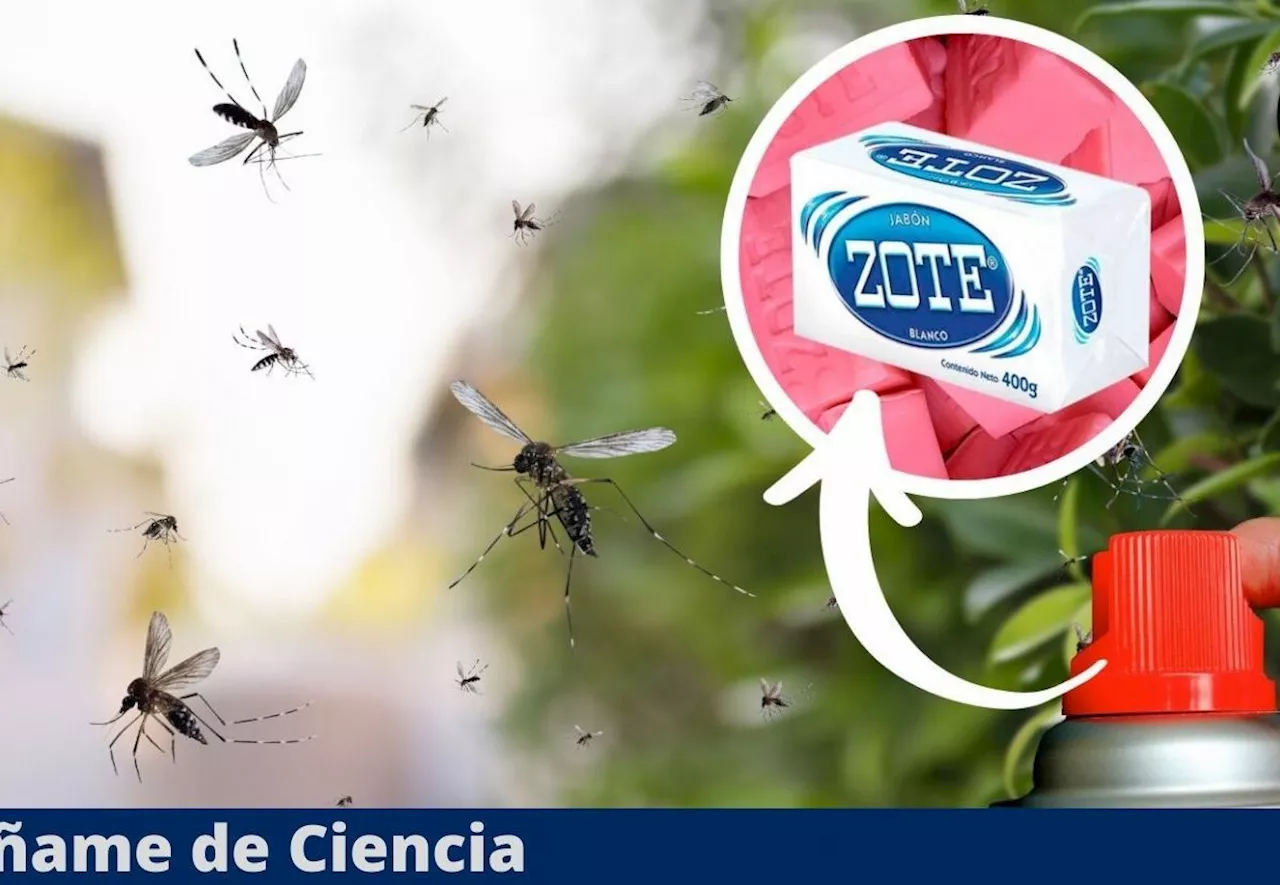 Cómo hacer un insecticida para mosquitos usando jabón ZOTE y sin gastar un solo peso