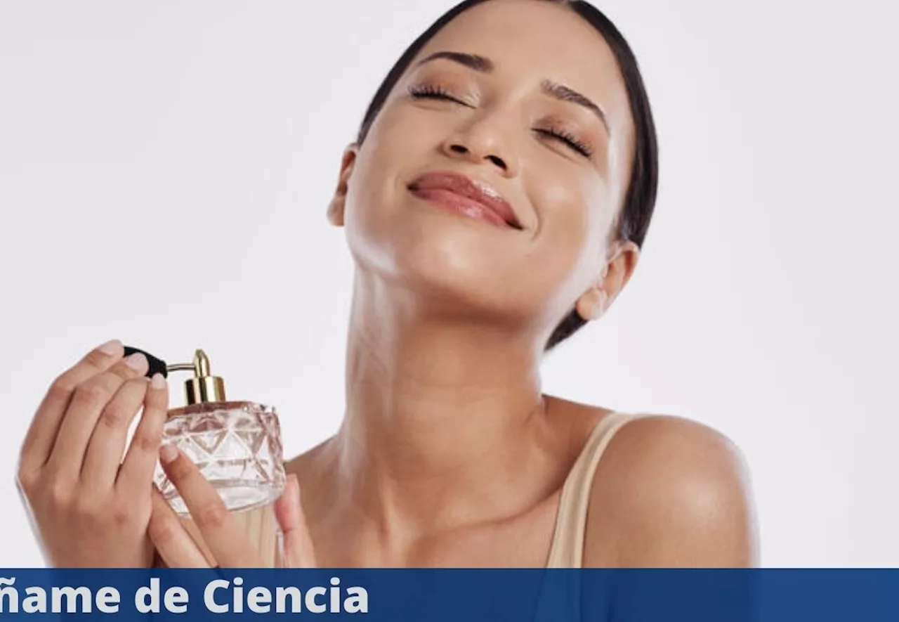 El trucazo para hacer que el aroma del perfume dure todo el día en tu piel