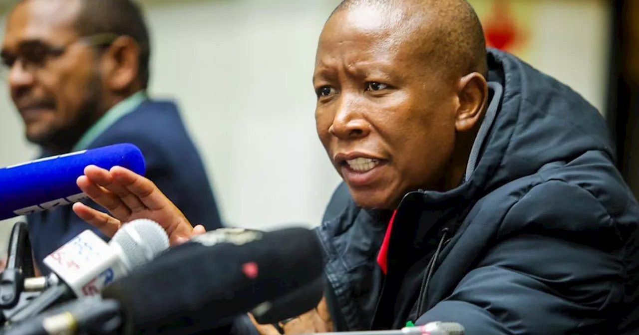 Malema believes VBS allegations being used in a bid to silence him and the EFF