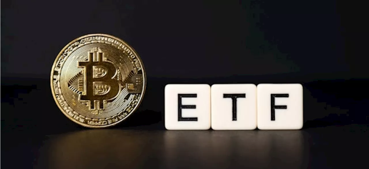 Bitcoin-ETFs boomen - trotz anhaltender Sorge um Bitcoin-Kurs