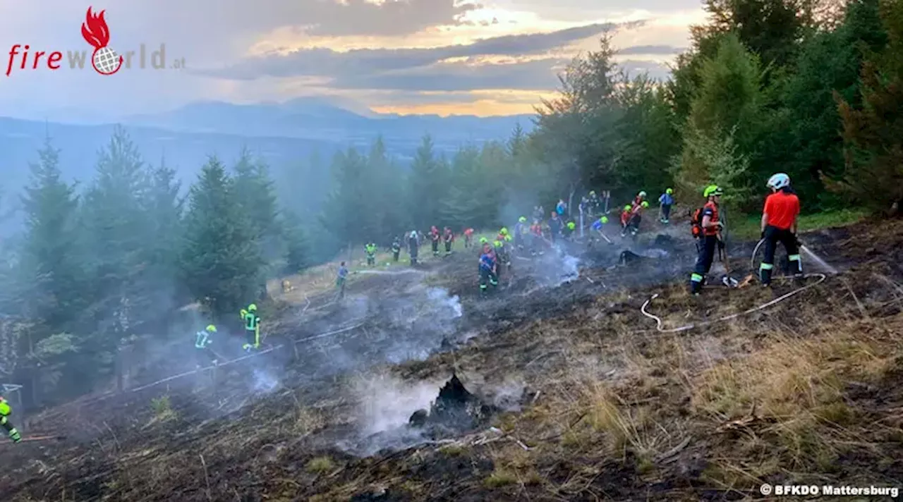 Bgld: Waldbrand auf der Rosalia forderte die Feuerwehren aus Niederösterreich und dem Burgenland