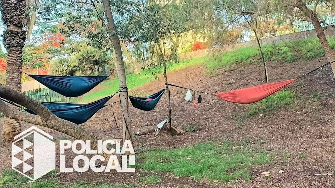 Schweizer campieren in Park mitten in Teneriffas Hauptstadt