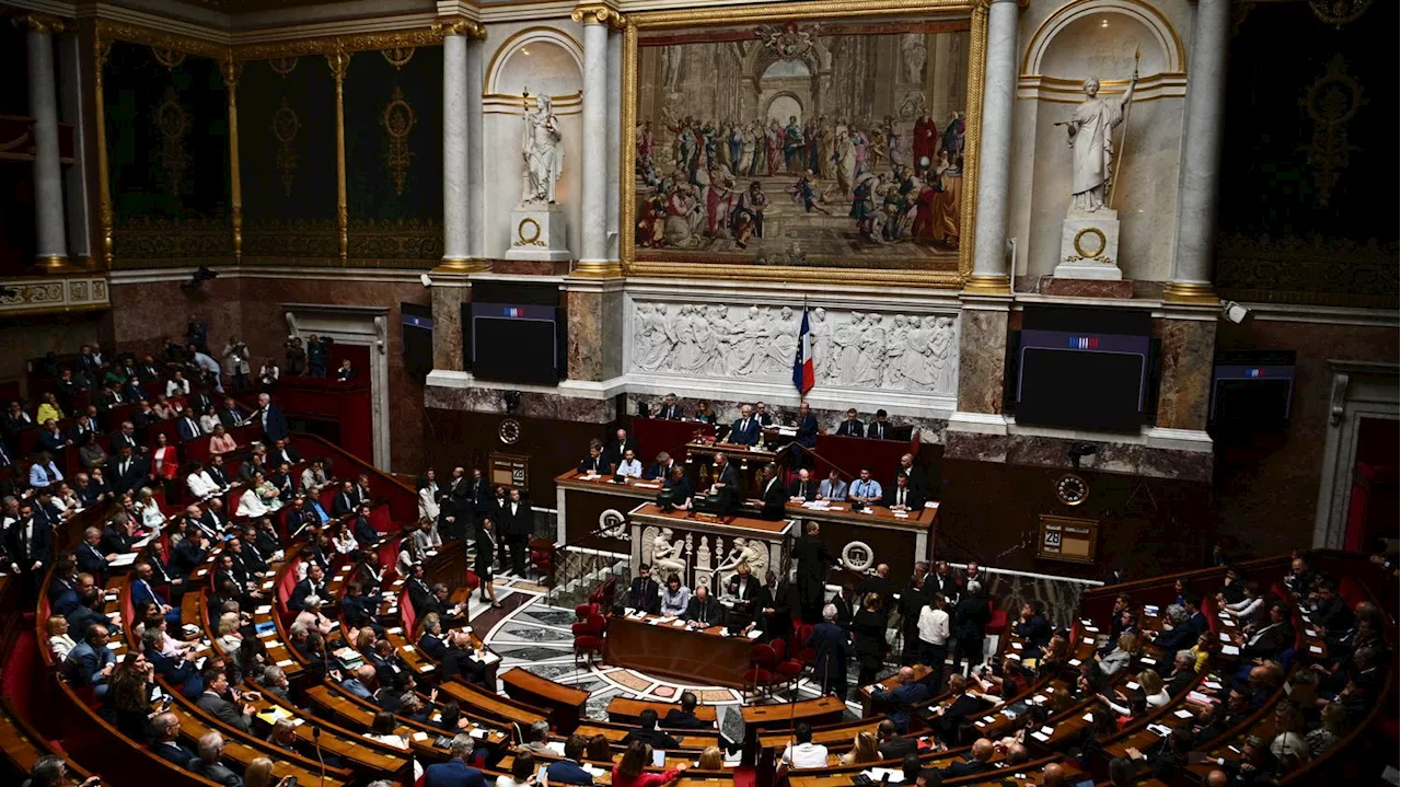 Législatives 2024 : comment va se dérouler l'ouverture de la session parlementaire à l'Assemblée nationale ?