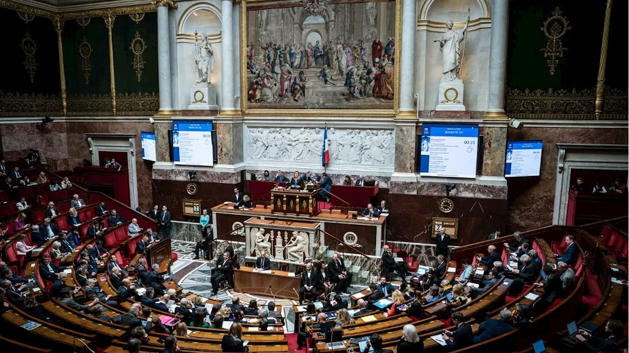 Législatives 2024 : qui sont les candidats à la présidence de l’Assemblée nationale ?