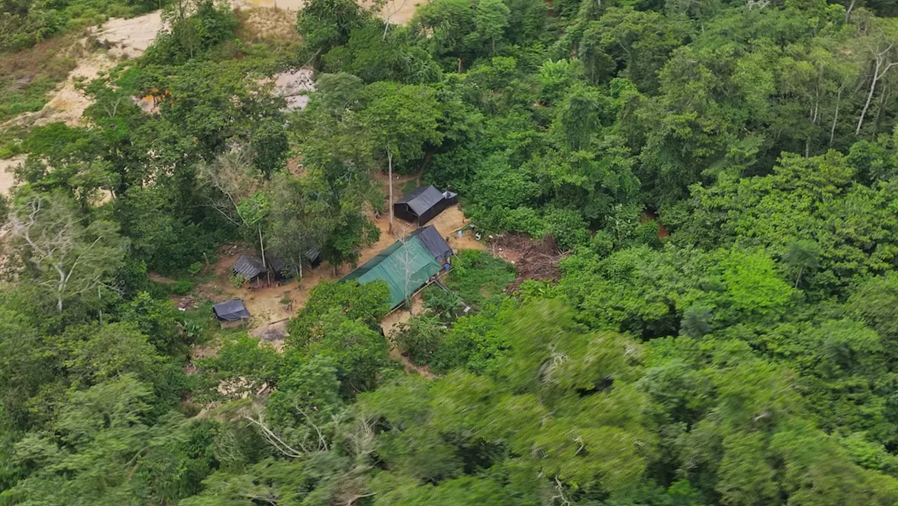 Garimpo ilegal avança em novas áreas da Terra Yanomami mesmo com fiscalização, diz Greenpeace